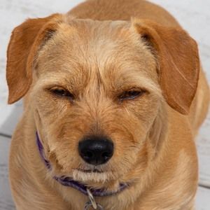 Meet your Posher, Deanna